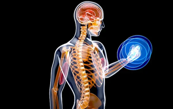 Vagus Nerve Stimulation