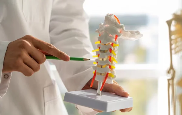 Spinal Fusion Surgery